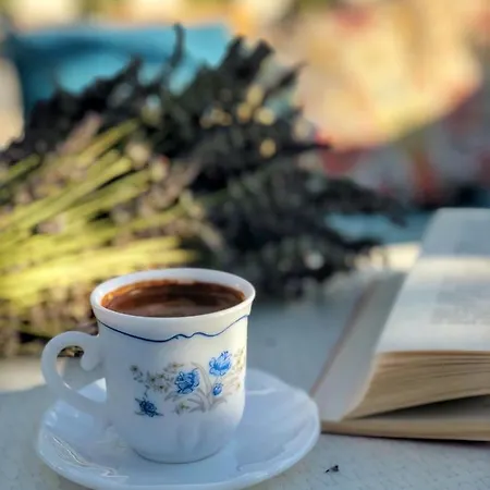 Aliya - Koey Evi Ve Lezzetleri Hotel *