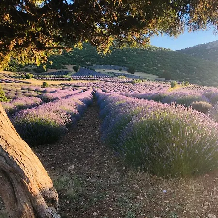 Aliya - Koey Evi Ve Lezzetleri Isparta