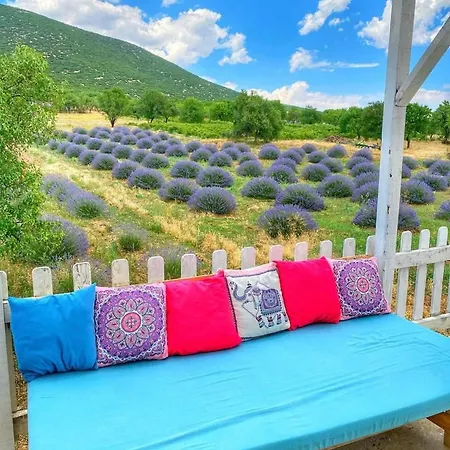 Aliya - Koey Evi Ve Lezzetleri Isparta
