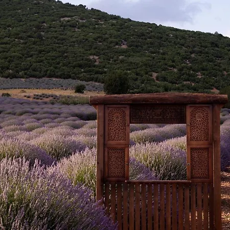 Aliya - Koey Evi Ve Lezzetleri Hotel Isparta