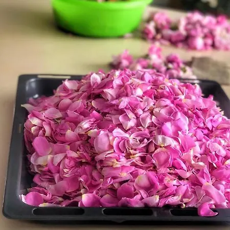 Aliya - Koey Evi Ve Lezzetleri *