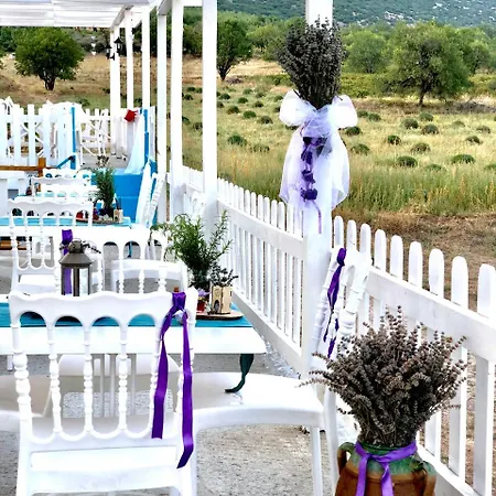 Hotel Aliya - Koey Evi Ve Lezzetleri Isparta