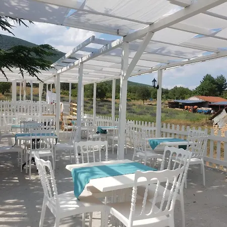 Aliya - Koey Evi Ve Lezzetleri Isparta