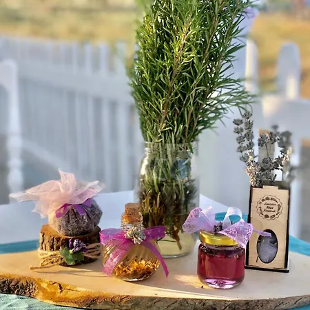 Aliya - Koey Evi Ve Lezzetleri